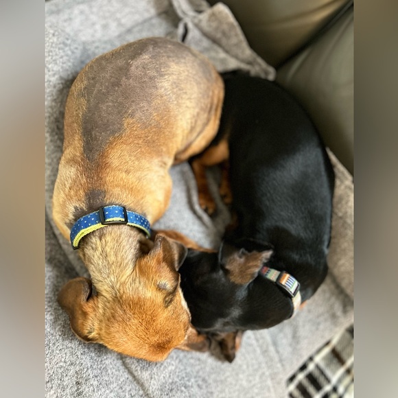 Share Show- Share Your Listing and Mine- Luxury and Designer Items - Picture 5 of 6